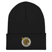 Noodle Gang Seattle Classic Cuffed Beanie